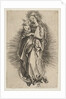 The Virgin on the Crescent by Unknown