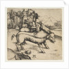 The Monstrous Pig of Landser, ca. 1496 by Albrecht Dürer