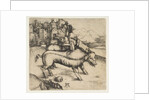 The Monstrous Pig of Landser, ca. 1496 by Albrecht Dürer