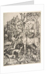 Saint Eustace, ca. 1501 by Albrecht Dürer