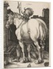 The Large Horse, 1505 by Albrecht Dürer