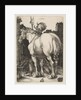 The Large Horse, 1505 by Albrecht Dürer