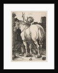 The Large Horse, 1505 by Albrecht Dürer