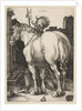 The Large Horse, 1505 by Albrecht Dürer