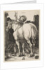 The Large Horse, 1505 by Albrecht Dürer