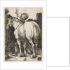 The Large Horse, 1505 by Albrecht Dürer