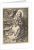 Virgin and Child Crowned by an Angel, 1520 by Albrecht Dürer