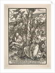 Saint Francis Receiving the Stigmata, ca. 1503 by Albrecht Dürer