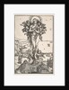 The Ecstasy of Saint Mary Magdalen by Albrecht Dürer
