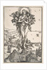 The Ecstasy of Saint Mary Magdalen by Albrecht Dürer