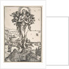 The Ecstasy of Saint Mary Magdalen by Albrecht Dürer