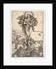 The Elevation of Saint Mary Magdalen by Albrecht Dürer