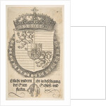 The Arms of Ferdinand I, King of Hungary and Bohemia by Albrecht Dürer