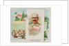 Charles H. Getzien, Pitcher, Detroit, from World's Champions, Second Series for Alle…, 1888 by Allen & Ginter