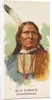 Big Snake, Winnebagoes, from the American Indian Chiefs series for Allen & Ginter Cig…, 1888 by Allen & Ginter