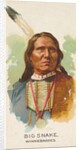 Big Snake, Winnebagoes, from the American Indian Chiefs series for Allen & Ginter Cig…, 1888 by Allen & Ginter