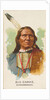 Big Snake, Winnebagoes, from the American Indian Chiefs series for Allen & Ginter Cig…, 1888 by Allen & Ginter