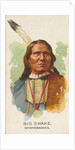 Big Snake, Winnebagoes, from the American Indian Chiefs series for Allen & Ginter Cig…, 1888 by Allen & Ginter
