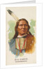 Big Snake, Winnebagoes, from the American Indian Chiefs series for Allen & Ginter Cig…, 1888 by Allen & Ginter