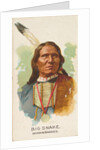 Big Snake, Winnebagoes, from the American Indian Chiefs series for Allen & Ginter Cig…, 1888 by Allen & Ginter