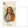 Big Snake, Winnebagoes, from the American Indian Chiefs series for Allen & Ginter Cig…, 1888 by Allen & Ginter