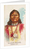 Always Riding, Yampah Ute, from the American Indian Chiefs series for Allen & Ginter …, 1888 by Allen & Ginter