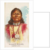 Always Riding, Yampah Ute, from the American Indian Chiefs series for Allen & Ginter …, 1888 by Allen & Ginter