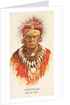 Keokuk, Sac and Fox, from the American Indian Chiefs series for Allen & Ginter Cigare…, 1888 by Allen & Ginter