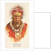 Keokuk, Sac and Fox, from the American Indian Chiefs series for Allen & Ginter Cigare…, 1888 by Allen & Ginter