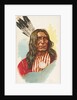 Black Eye, Blackfeet Sioux, from the American Indian Chiefs series for Allen & Ginter…, 1888 by Allen & Ginter