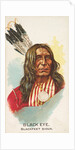 Black Eye, Blackfeet Sioux, from the American Indian Chiefs series for Allen & Ginter…, 1888 by Allen & Ginter