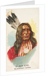 Black Eye, Blackfeet Sioux, from the American Indian Chiefs series for Allen & Ginter…, 1888 by Allen & Ginter