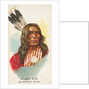 Black Eye, Blackfeet Sioux, from the American Indian Chiefs series for Allen & Ginter…, 1888 by Allen & Ginter