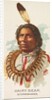 Hairy Bear, Winnebagoes, from the American Indian Chiefs series for Allen & Ginter Ci…, 1888 by Allen & Ginter