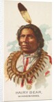 Hairy Bear, Winnebagoes, from the American Indian Chiefs series for Allen & Ginter Ci…, 1888 by Allen & Ginter