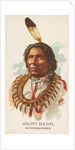 Hairy Bear, Winnebagoes, from the American Indian Chiefs series for Allen & Ginter Ci…, 1888 by Allen & Ginter