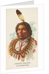 Hairy Bear, Winnebagoes, from the American Indian Chiefs series for Allen & Ginter Ci…, 1888 by Allen & Ginter