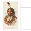 Hairy Bear, Winnebagoes, from the American Indian Chiefs series for Allen & Ginter Ci…, 1888 by Allen & Ginter