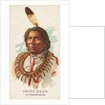 Hairy Bear, Winnebagoes, from the American Indian Chiefs series for Allen & Ginter Ci…, 1888 by Allen & Ginter