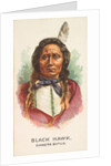 Black Hawk, Dakota Sioux, from the American Indian Chiefs series for Allen & Ginter C…, 1888 by Allen & Ginter