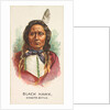 Black Hawk, Dakota Sioux, from the American Indian Chiefs series for Allen & Ginter C…, 1888 by Allen & Ginter