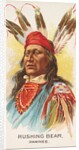 Rushing Bear, Pawnee, from the American Indian Chiefs series for Allen & Ginter Cigar…, 1888 by Allen & Ginter