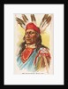 Rushing Bear, Pawnee, from the American Indian Chiefs series for Allen & Ginter Cigar…, 1888 by Allen & Ginter