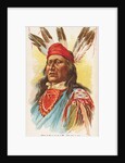 Rushing Bear, Pawnee, from the American Indian Chiefs series for Allen & Ginter Cigar…, 1888 by Allen & Ginter