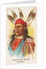 Rushing Bear, Pawnee, from the American Indian Chiefs series for Allen & Ginter Cigar…, 1888 by Allen & Ginter