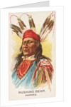 Rushing Bear, Pawnee, from the American Indian Chiefs series for Allen & Ginter Cigar…, 1888 by Allen & Ginter