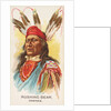 Rushing Bear, Pawnee, from the American Indian Chiefs series for Allen & Ginter Cigar…, 1888 by Allen & Ginter