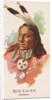 Big Chief, Ponca, from the American Indian Chiefs series for Allen & Ginter Cigarette…, 1888 by Allen & Ginter