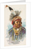 Big Bear, Missouria, from the American Indian Chiefs series for Allen & Ginter Cigare…, 1888 by Allen & Ginter