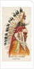 Man and Chief, Pawnee, from the American Indian Chiefs series for Allen & Ginter Ciga…, 1888 by Allen & Ginter